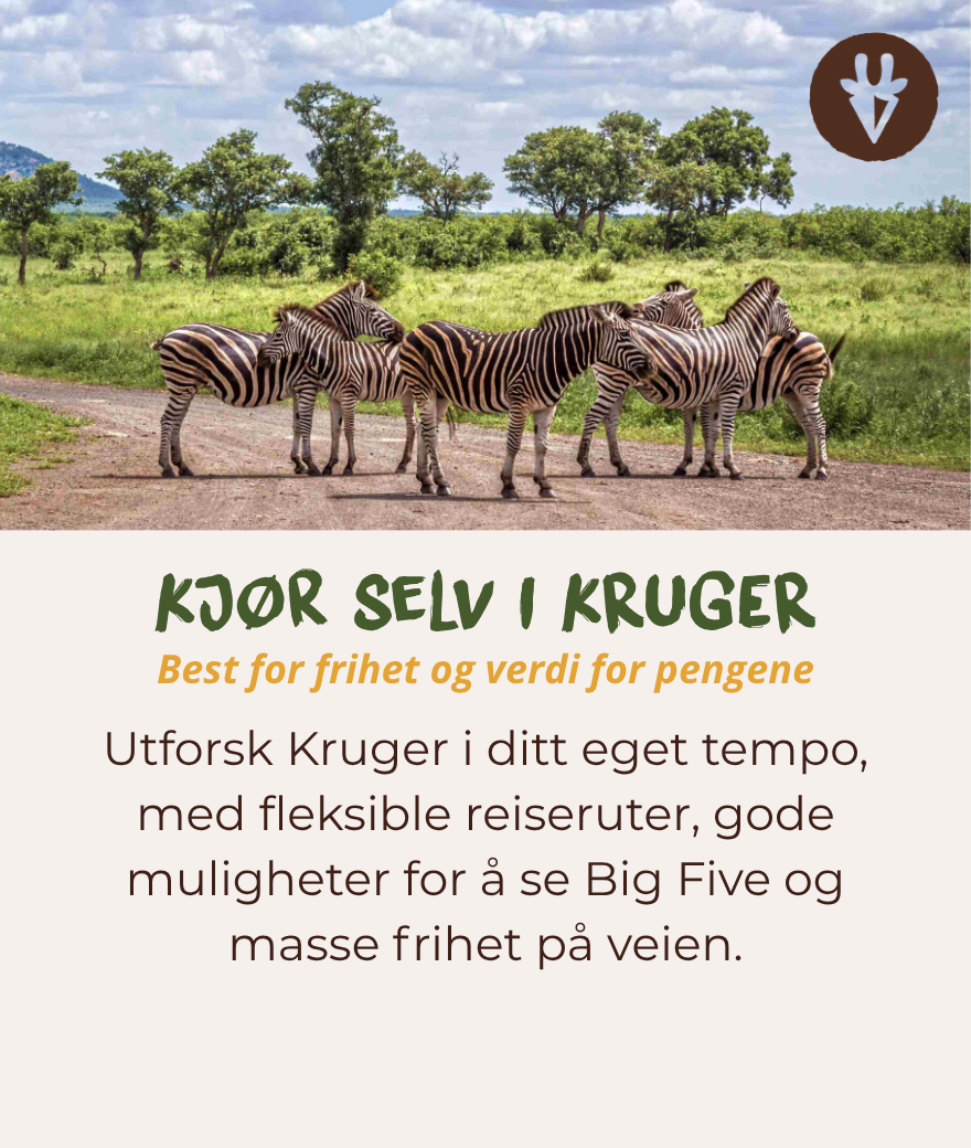 Self-drive safari in Kruger, best for freedom, value and exploring at your own pace.