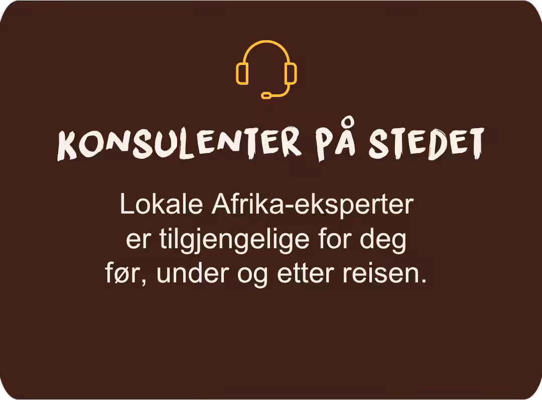On-site consultants